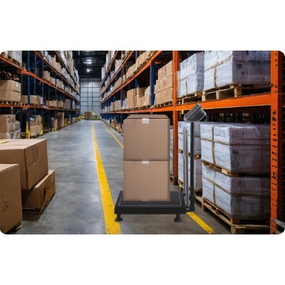 Elektroninės pramoninės platforminės svarstyklės Humberg MH-192, iki 300 kg – šaldyti braškių daigai