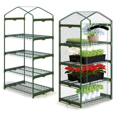 Dārza tuneļa siltumnīca 2 × 2 m 4 m² Plāna – sertificēti saldēti zemeņu stādi