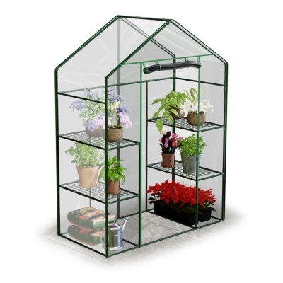 Dārza tuneļa siltumnīca 2 × 2 m 4 m² Plāna – sertificēti saldēti zemeņu stādi