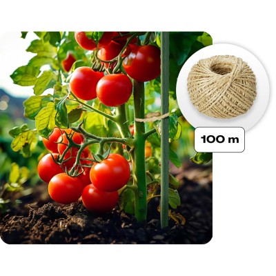 Dārza tuneļa siltumnīca 2 × 2 m 4 m² Plāna – sertificēti saldēti zemeņu stādi