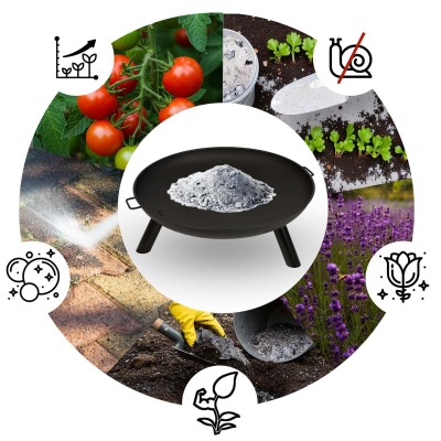 Palenisko ogrodowe 80 cm Berdsen BD-882 – sertificēti saldēti zemeņu stādi