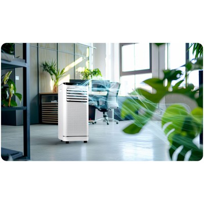 Mobilus oro kondicionierius ir oro sausintuvas su lango sandarikliu 9000 BTU Berdsen BD583 – šaldyti braškių daigai