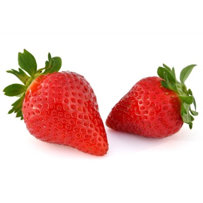 FAVORI maasika seemikud (Frigo) 10 tk