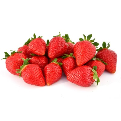 FAVORI maasika seemikud (Frigo) 10 tk