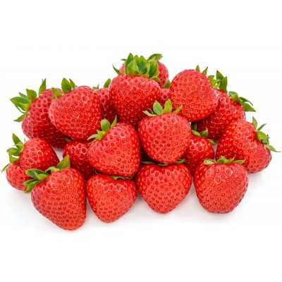HADEMAR maasika seemikud (Frigo) 10 tk