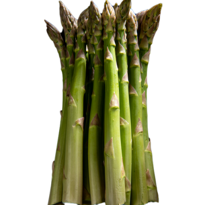 JAVELIM Spargel 10 tk. võrsed