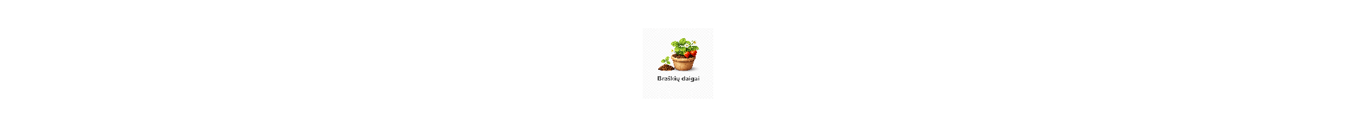 Zemeņu stādi